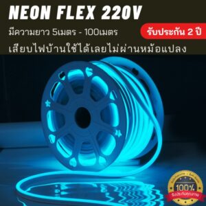 neon flex 220v iceblue