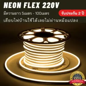 neon flex 220v warmcolor