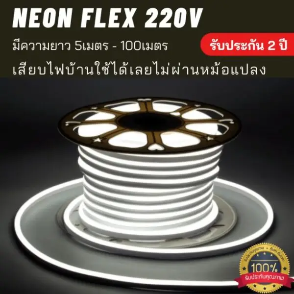 neon flex 220v white color