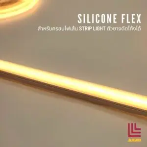 ภาพปกflex