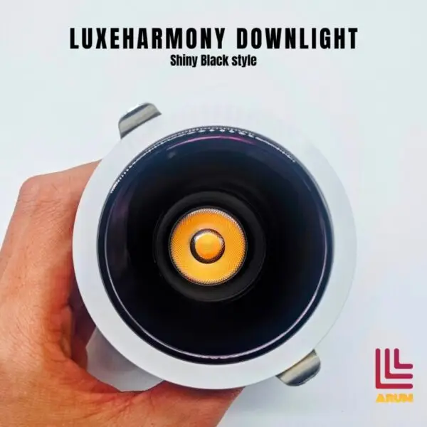 LuxeHarmony Downlight shiny black style