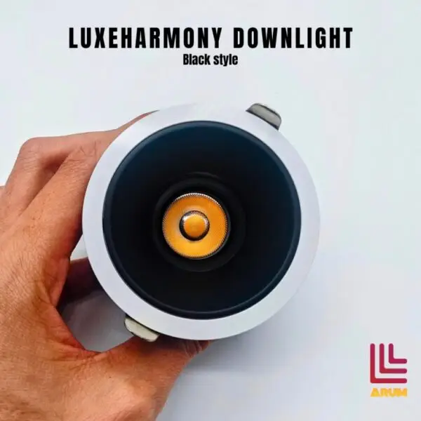 LuxeHarmony Downlight black style